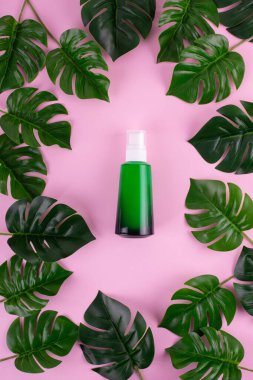 Opened green Bottle with tropical monstera leaf on isolated pink background close up. Brand packaging mockup. Aromatic oil, skincare beauty product, cream or serum. Natural herbal cosmetics concept