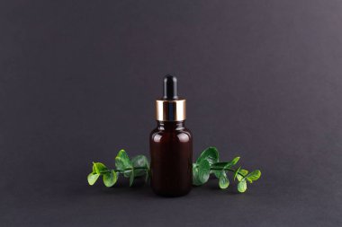 Brown glass dropper bottle with a pippette with golden rubber tip on the beautiful eucalyptus on black background. Nature Skin concept. Organic Spa Cosmetics. Trendy concept.