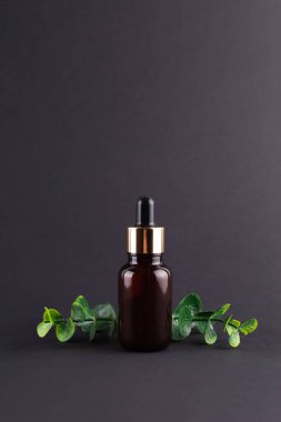 Brown glass dropper bottle with a pippette with golden rubber tip on the beautiful eucalyptus on black background. Nature Skin concept. Organic Spa Cosmetics. Trendy concept.