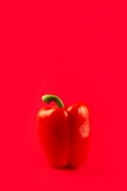 Paprika. Pepper red. Bell pepper isolated on red background . Sweet red pepper. With clipping path. Full depth of field