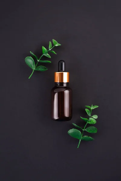 Brown glass dropper bottle with a pippette with golden rubber tip on the beautiful eucalyptus on black background. Nature Skin concept. Organic Spa Cosmetics. Trendy concept.