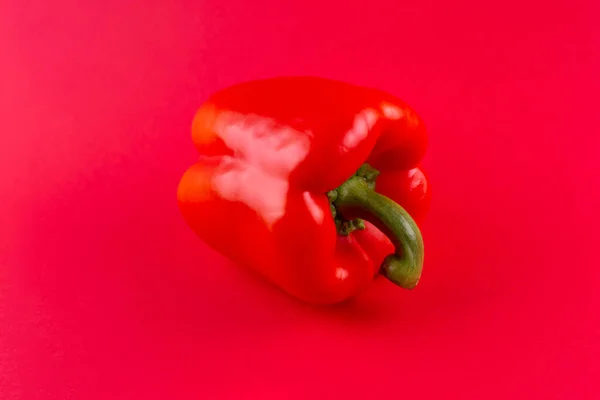 Paprika. Pepper red. Bell pepper isolated on red background . Sweet red pepper. With clipping path. Full depth of field