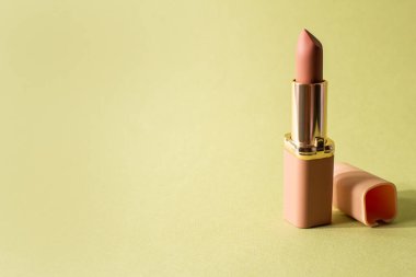 Nude matte lipstick with a cap on a pastel green background. Female accessory for lip makeup. Professional cosmetic product for makeup artists in the composition. Backdrop