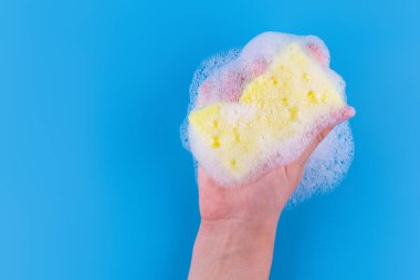 Persons hand holding yellow sponge for dish wash. Washcloth covered in soap. Domestic chores and supplies concept. Sensitive dishwashing detergent. Copy space in left side. Isolated on blue