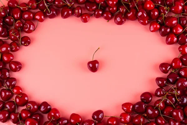 Ripe Sweet Cherries Red Appetizing Fresh Organic Cherries Tasty Invigorating — 图库照片