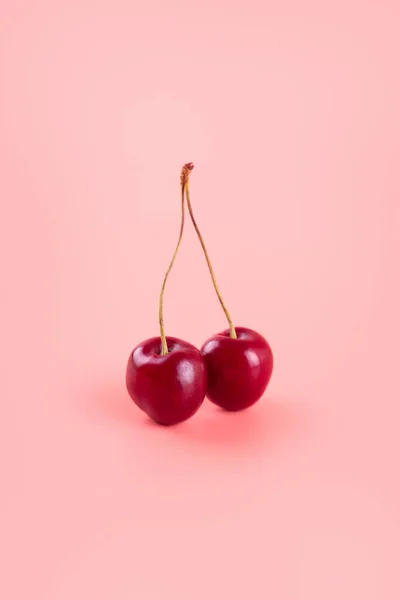 Isolated Cherries Pink Background Two Sweet Cherry Fruits Close Flatlay — Foto de Stock