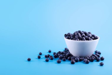 Top view of fresh ripe blueberries in bowl isolated on blue. Healthy, natural fruit. Vegan and vegetarian concept. Summer healthy food. 