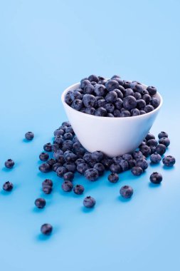 Beautiful fresh blueberries in a white bowl on a blue backgroun