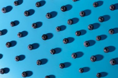 Blueberry isolated on blue background. Blueberries background. Healthy, natural fruit. Vegan and vegetarian concept. Summer healthy food. 