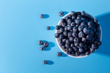 Top view of fresh ripe blueberries in bowl isolated on blue. Healthy, natural fruit. Vegan and vegetarian concept. Summer healthy food. 