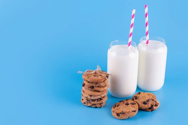 Glasses of fresh milk with straw and brown school chocolate cookies on blue background. Sweet food yummy and tasty concept.