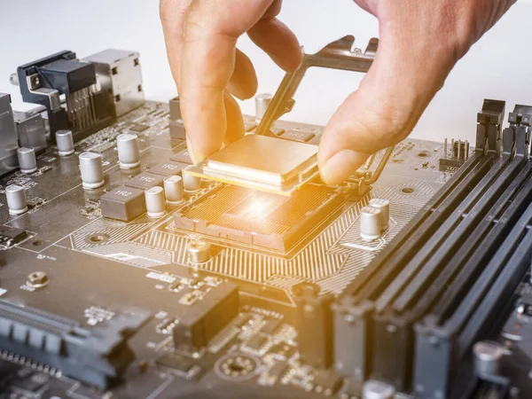 Hold Cpu Håndtaget Indsæt Det Cpu Stikket Bundkortet Det Gammelt - Stock-foto