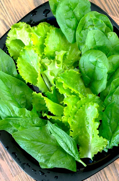 Frische Spinatblätter Und Verschiedene Salatsorten Auf Einem Teller — Stockfoto