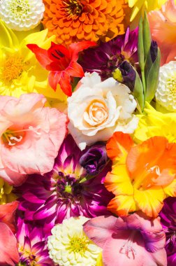 Farklı parlak yaz çiçekleriyle arka plan, duvar kâğıdı