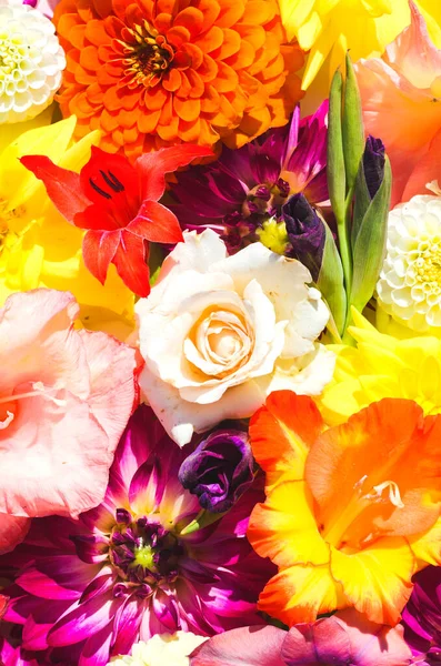 Farklı parlak yaz çiçekleriyle arka plan, duvar kâğıdı