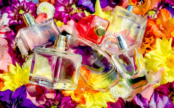 Bottles of women\'s perfume against a background of various fresh flowers. Bright floral scents.
