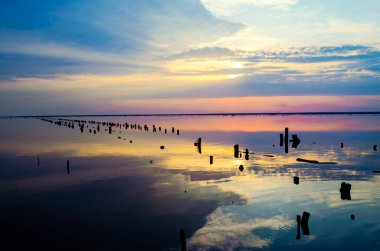 Sunset on a pink lake with old wooden rings from a structure where salt was mined before. Beautiful summer landscape
