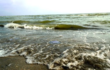 Sea waves and foam rolling onto the sandy shore. Cloudy weather at sea