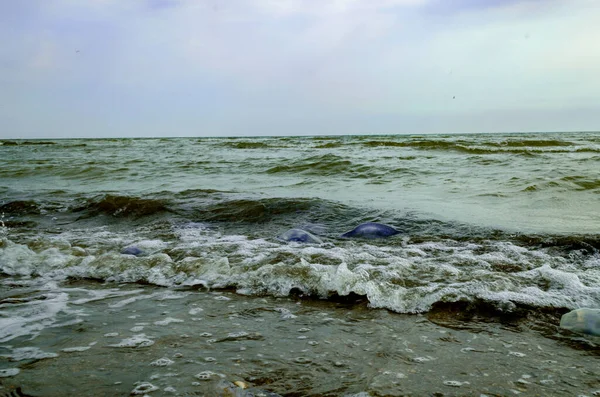 Sea waves and foam rolling onto the sandy shore. Cloudy weather at sea