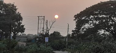 Güneş bir çiçek gibi ve ağacın tepesinde çiçek açıyor. Bu doğanın en güzel manzarası..