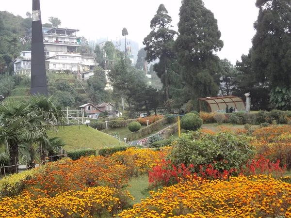 Batasia Loop Uno Los Lugares Turísticos Más Bellos Distrito Darjeeling — Foto de Stock
