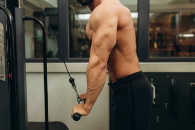 Close-up of man doing exercises on muscles of triceps in simulator. Muscles on arms, ligaments. Concept workout, bodybuilder in gym