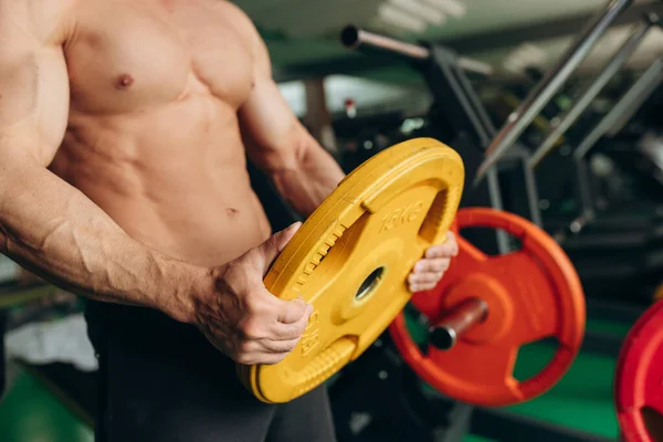 Man Muscular Torso Holds Weights Gym — 스톡 사진