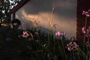 Pembeye bürünmüş güzel