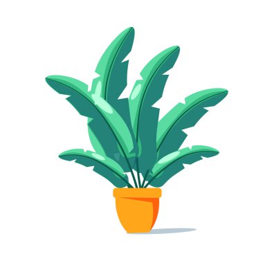 Beyaz arka planda, desenlerde, posterlerde ve afişlerde kullanılacak tropikal bir bitkinin tasviri. saksıdaki ev çiçeği.