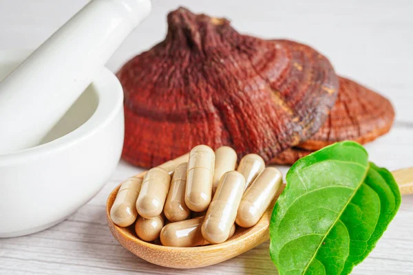 Cogumelo Lingzhi Reishi Com Cápsulas Alimentos Orgânicos Naturais Saudáveis — Fotografia de Stock