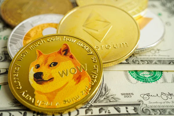 Dogecoin Con Wow Para Negocios Línea Comerciales Moneda Digital Criptomoneda — Foto de Stock