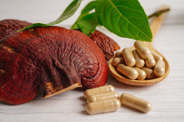 Lingzhi or Reishi mushroom with capsules, organic natural healthy food.
