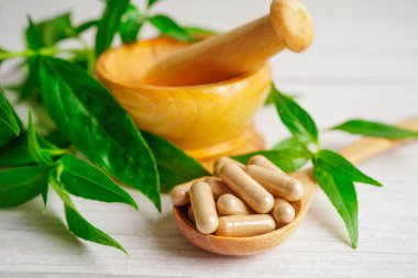 Kovid19 Coronavirus enfeksiyonunu tedavi etmek için bitki kapsüllü panikleme ya da kariyer yaprağı bitkisi..