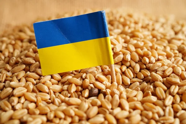 Ukraine on grain wheat, trade export and economy concept.