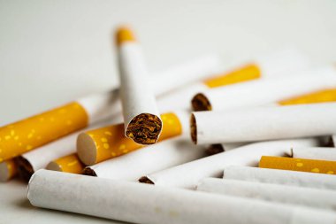 Cigarette, roll tobacco in paper with filter tube, No smoking concept.