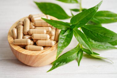 Kovid19 Coronavirus enfeksiyonunu tedavi etmek için bitki kapsüllü panikleme ya da kariyer yaprağı bitkisi..