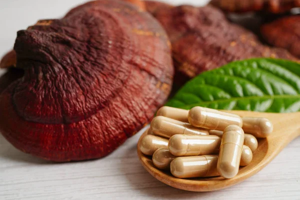 Lingzhi ya da kapsüllü Reishi mantarı, organik ve sağlıklı yiyecekler..