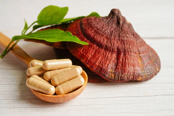 Lingzhi ya da kapsüllü Reishi mantarı, organik ve sağlıklı yiyecekler..