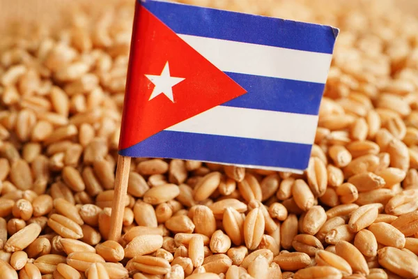 Cuba on grain wheat, trade export and economy concept.