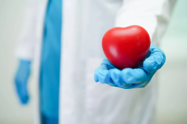 Asian Woman Doctor Holding Red Heart Health Hospital — Stockfoto