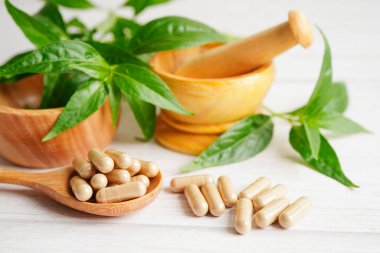 Kovid19 Coronavirus enfeksiyonunu tedavi etmek için bitki kapsüllü panikleme ya da kariyer yaprağı bitkisi.