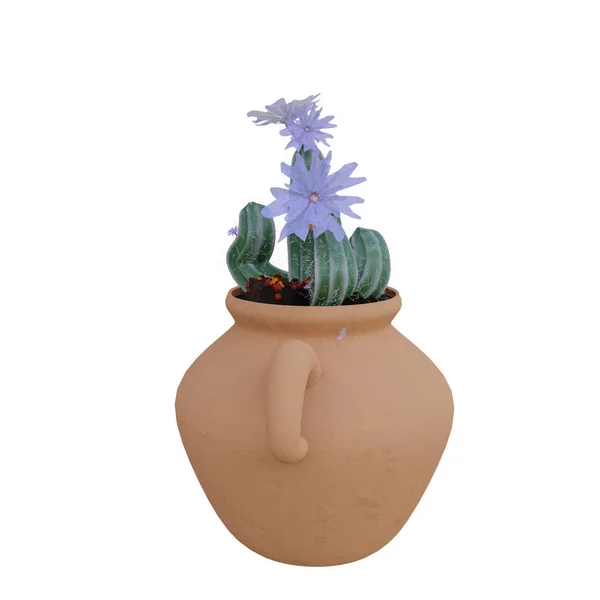 Cactus Plant Pot Geïsoleerd Witte Achtergrond — Stockfoto