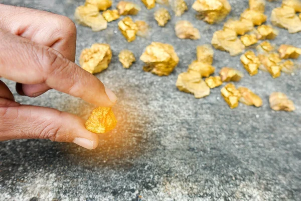 Eldeki madende bulunan saf altın cevheri. Bir parça altın..