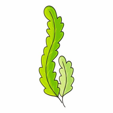 Deniz illüstrasyonları ve tasarım elemanları. Elde çizim stili. Simge, çıkartma, iğne. Deniz yosunu