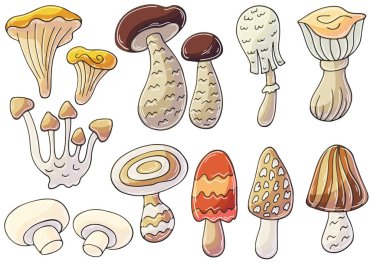 El çizimi biçiminde vektör çizimleri. Çocuk resimleri, orman mantarlı posterler. Simge koleksiyonu, çıkartmalar. Mantarlar