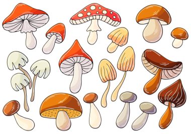 El çizimi biçiminde vektör çizimleri. Çocuk resimleri, orman mantarlı posterler. Simge, tabela, raptiye, çıkartma koleksiyonu. Mantarlar