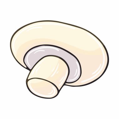 Şampiyon. Elle çizilmiş sonbahar illüstrasyonu. Çocuk çizimi, orman mantarı. Simge, imza, etiket