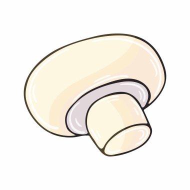 Şampiyon. Elle çizilmiş sonbahar illüstrasyonu. Çocuk çizimi, orman mantarı. Simge, işaret, iğne, çıkartma