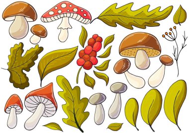 Sonbahar. El çizimi biçiminde vektör çizimleri. Çocuk resimleri, sonbahar yaprakları ve mantarlı posterler. Simge, etiket koleksiyonu