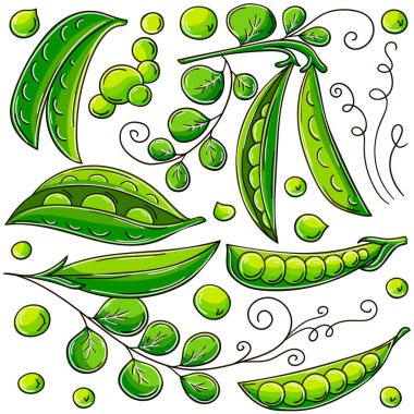 El çizimi biçiminde vektör çizimleri. Çocuk resimleri, meyveli posterler. Bezelye. Çıkartma koleksiyonu